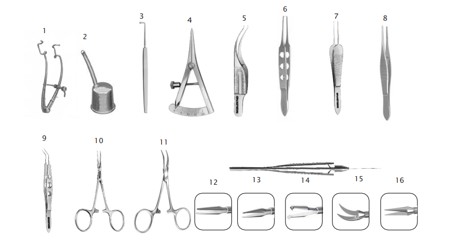 Vitreo - Retinal Posterior Segment Set